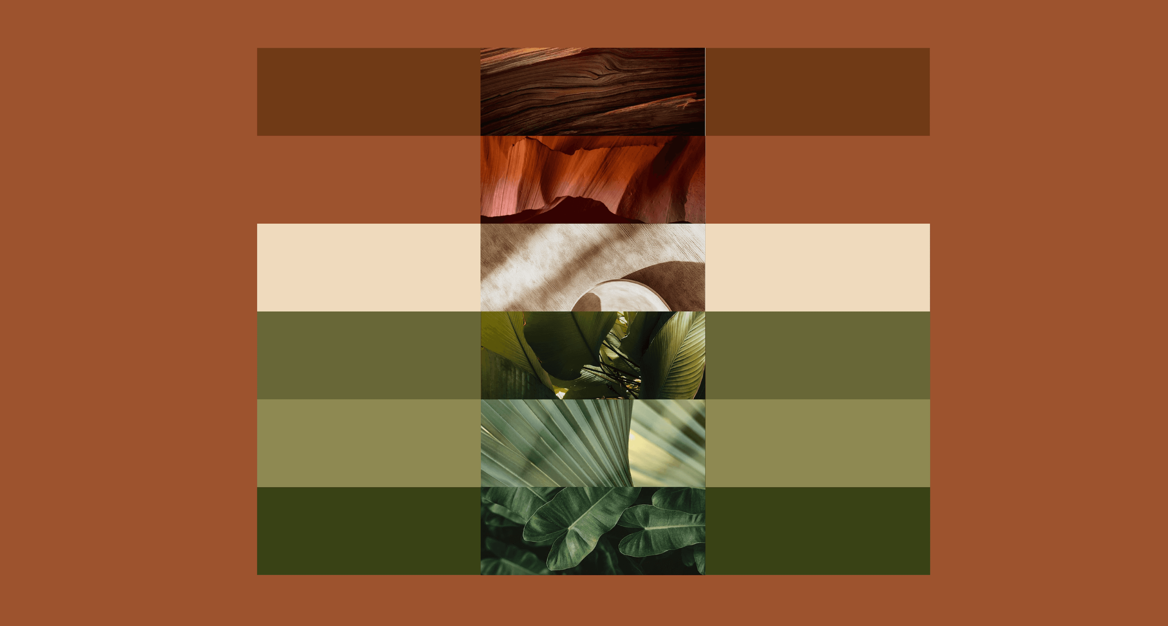 paleta